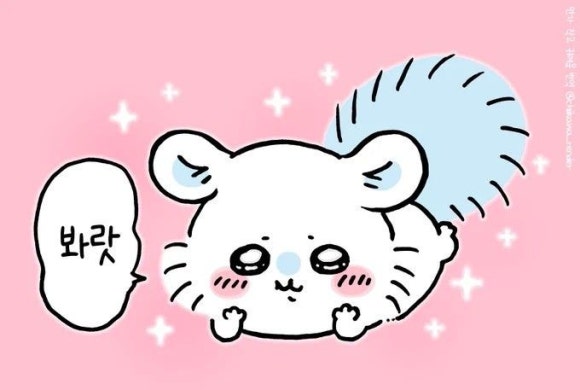 모몽가 이미지