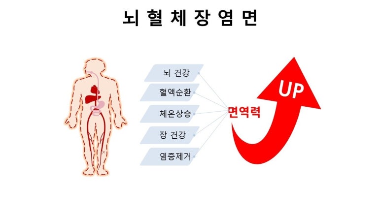 (주)본초바이오 이미지