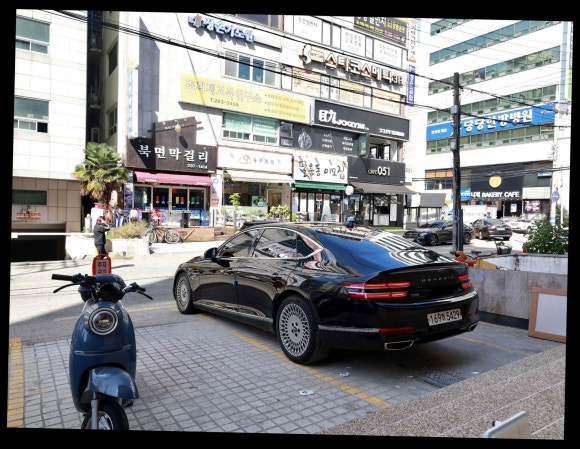 주 세계장어 이미지