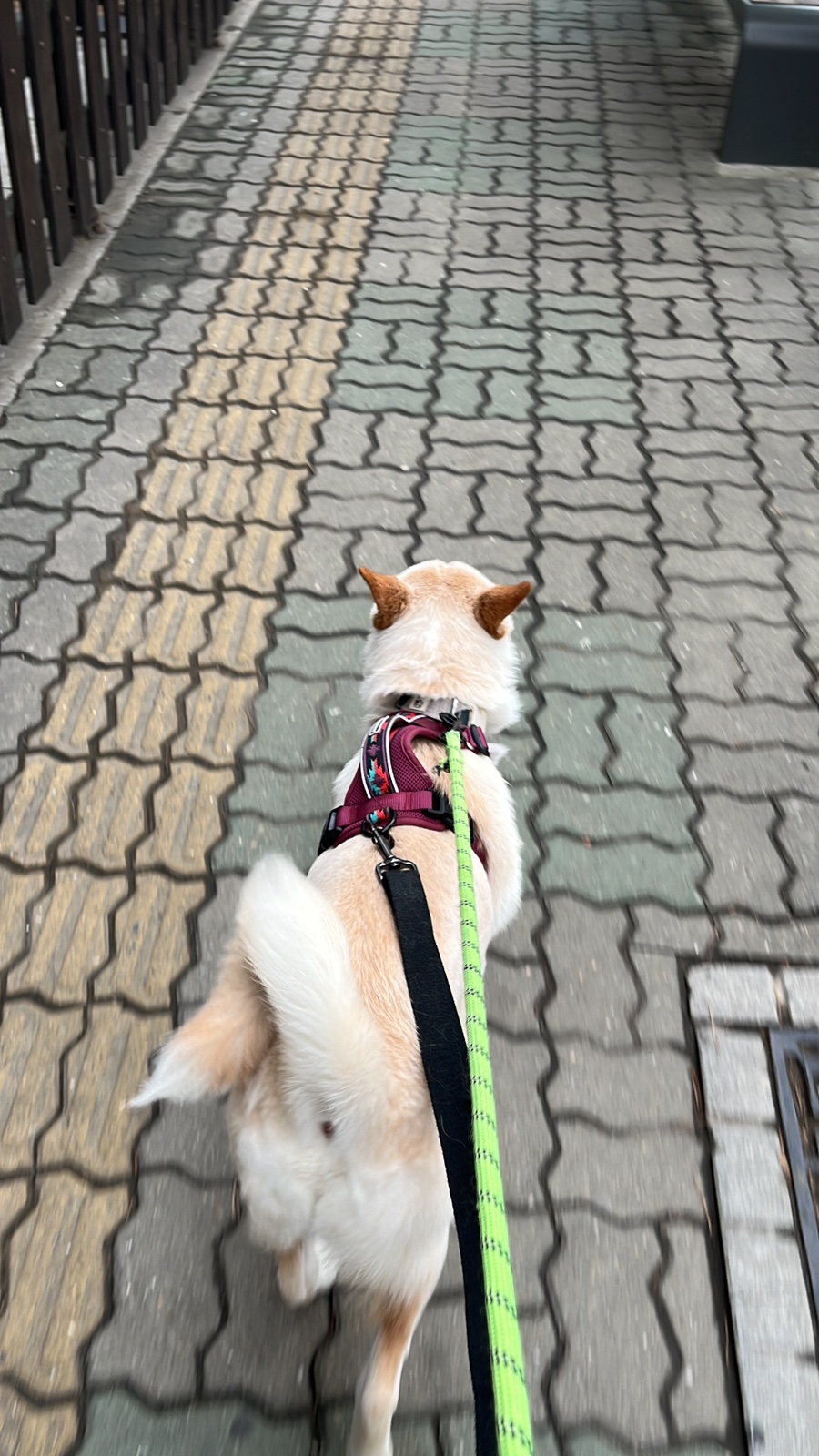 현대정육유통 이미지