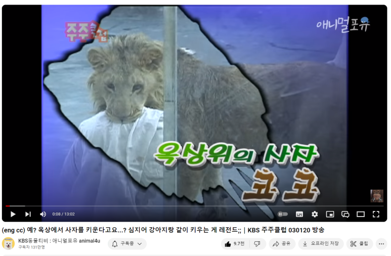 옥상ENG 이미지