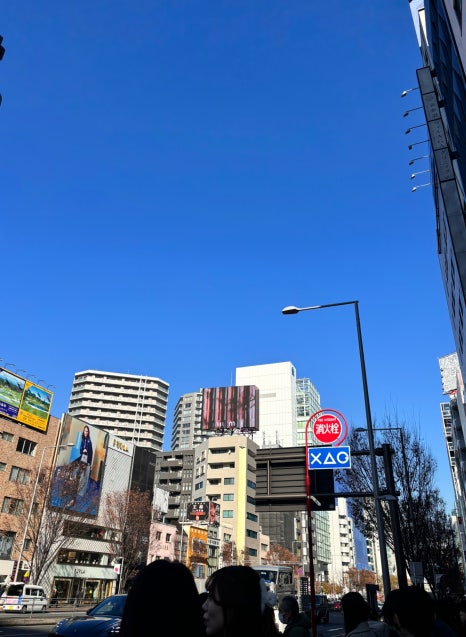 비지투어 이미지