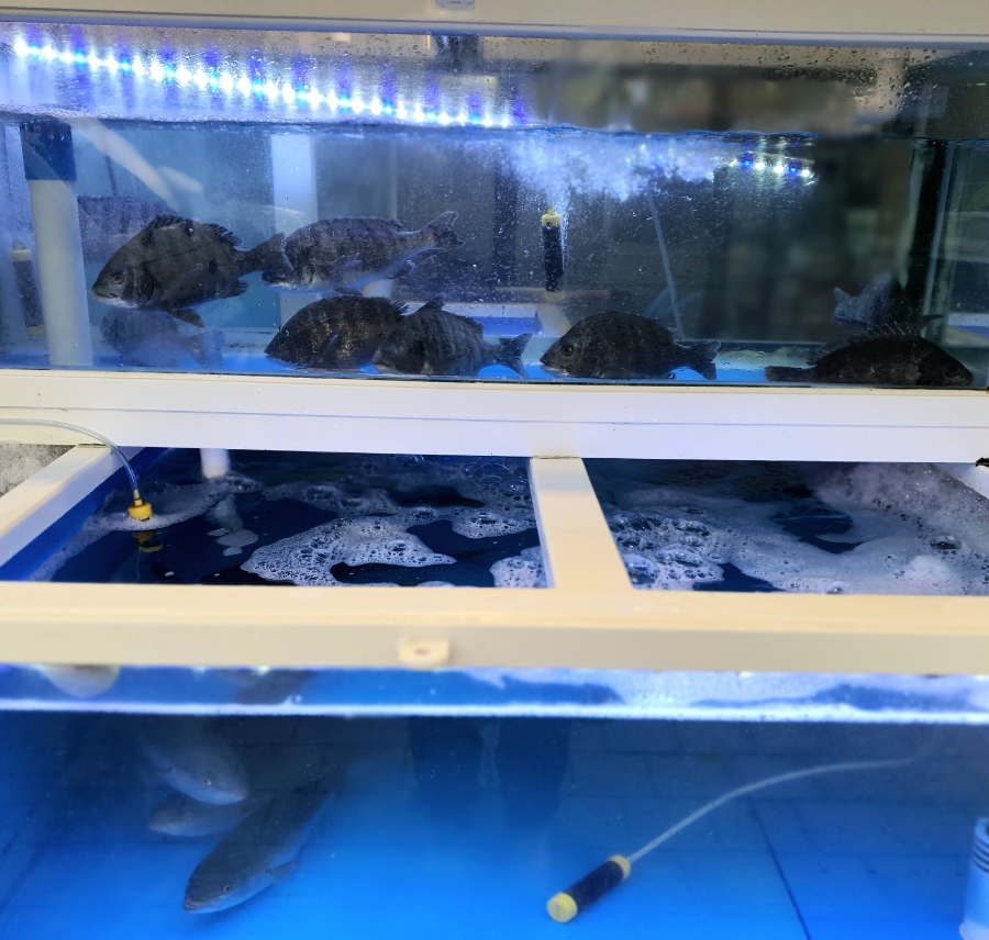 달봉이회수산 이미지