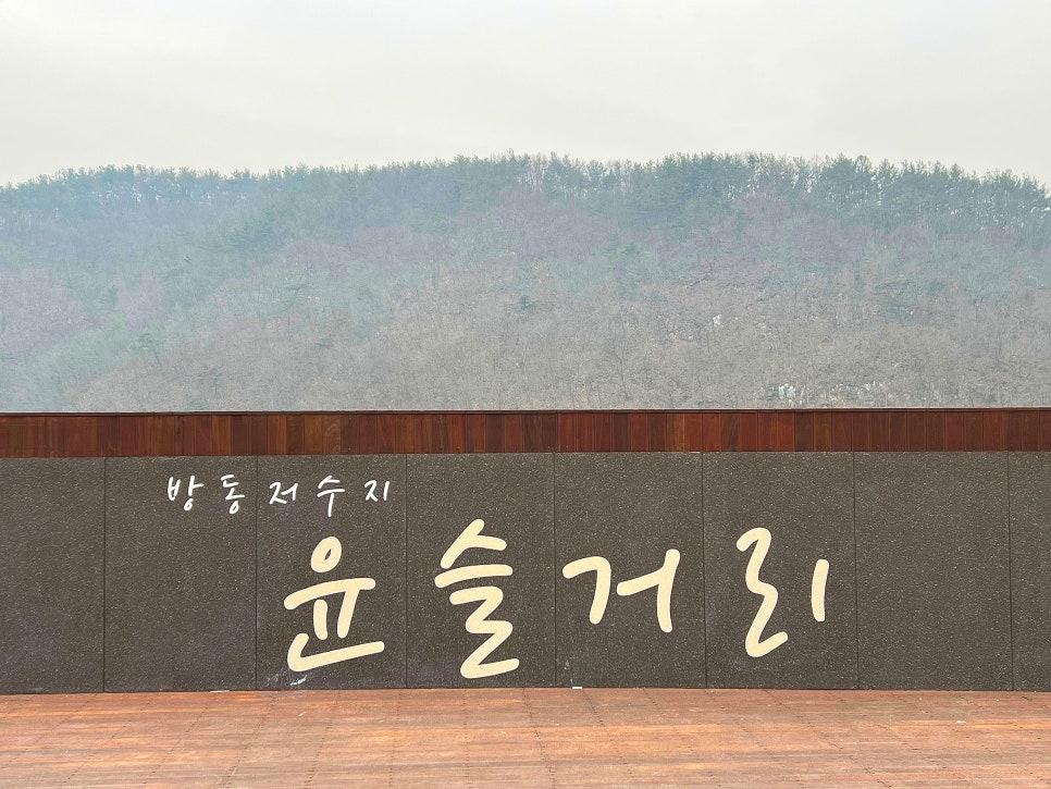 파스쿠찌대전 이미지