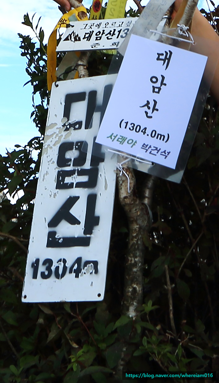 정상표시 이미지