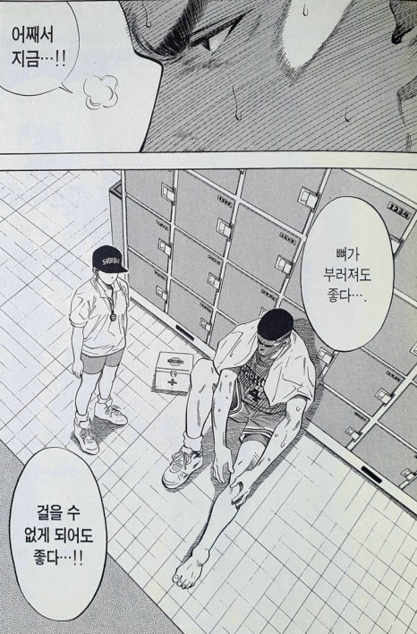 알리제 이미지