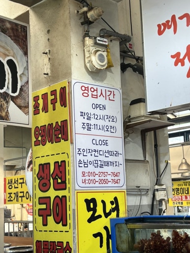 모자가리비 이미지