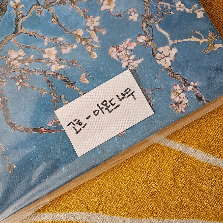 화실아몬드꽃 이미지