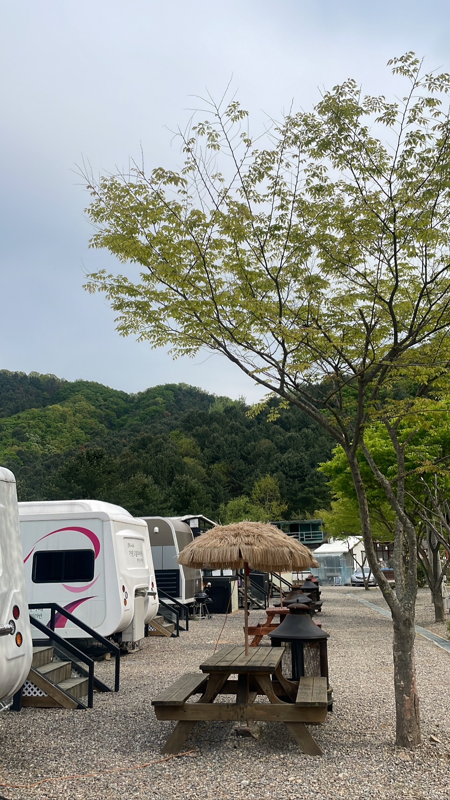 오블리비아테 이미지