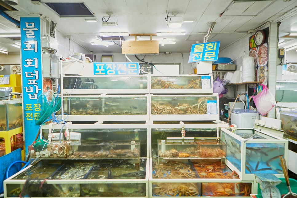 제일회센타 이미지