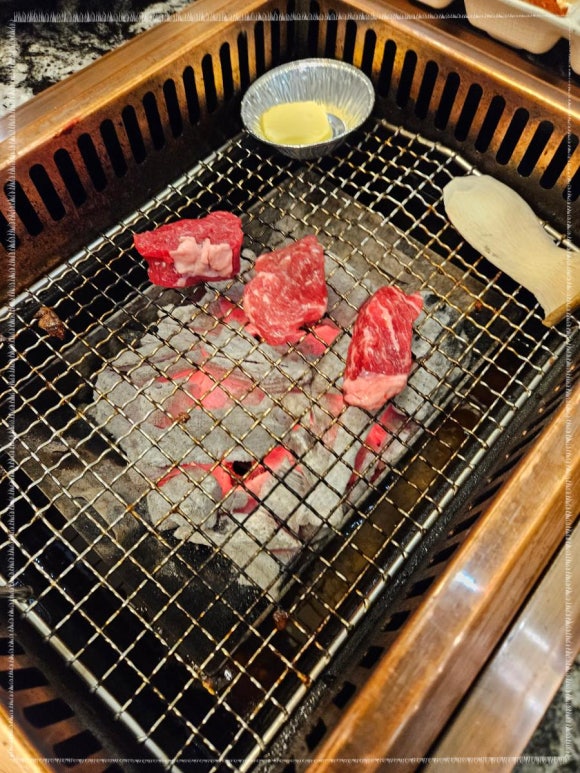 지리산꺼먹돼지 이미지