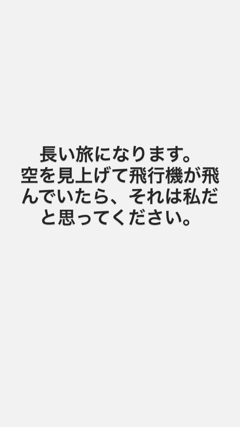 키쿠 이미지