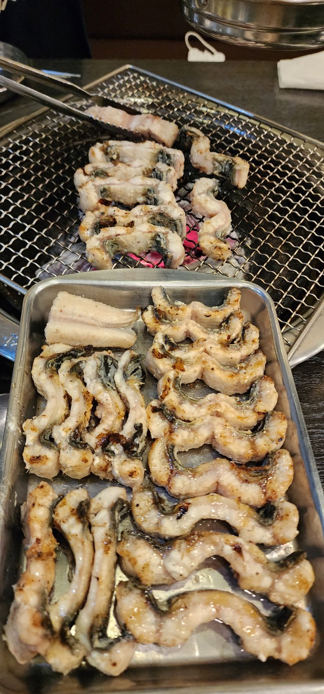 홍장어 이미지