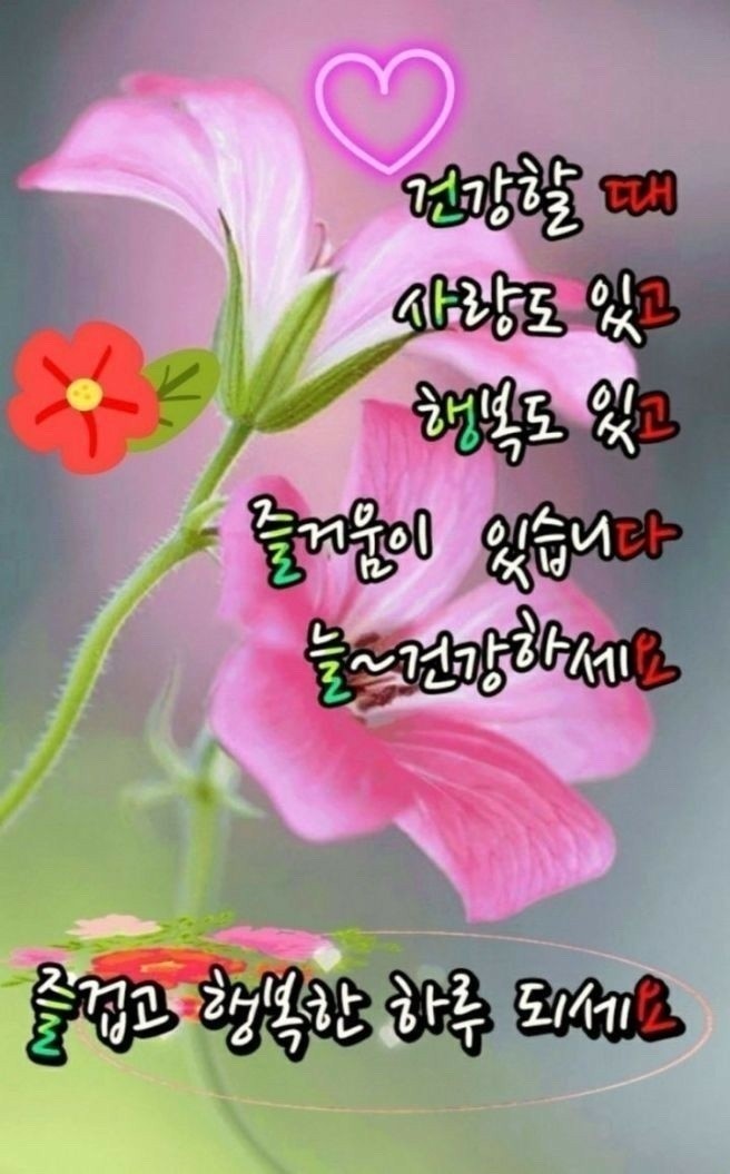 행복법무사 이미지
