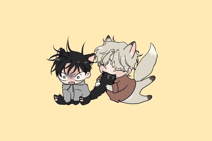 미샵 이미지