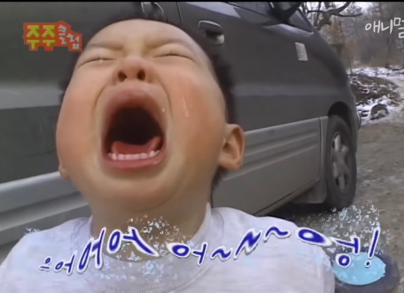 엔티존 이미지