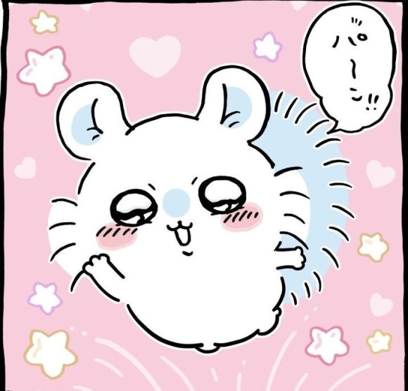 모몽가 이미지