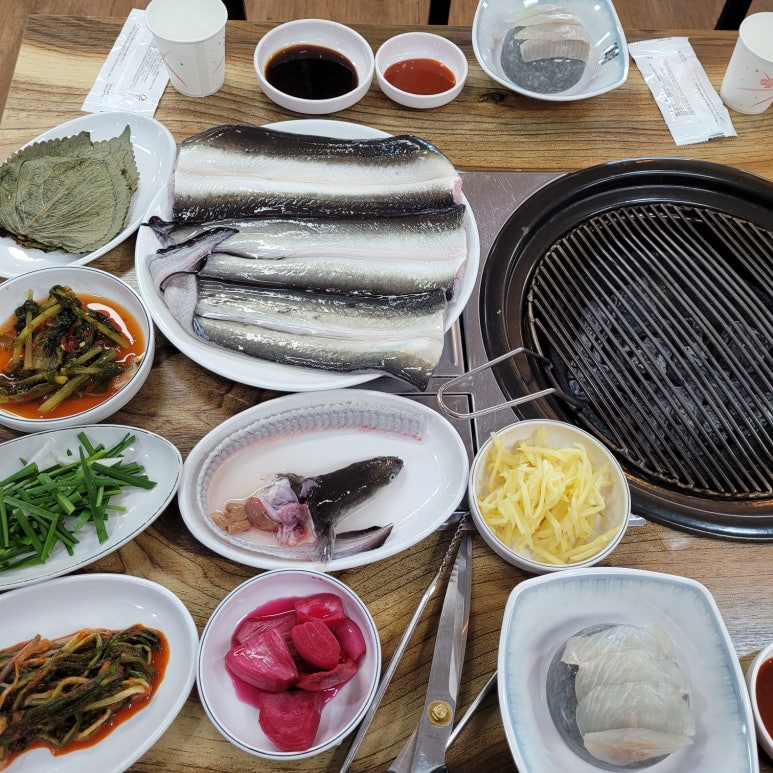 싱싱장어 이미지