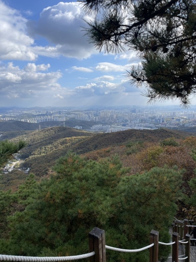 광교산농수산물 이미지