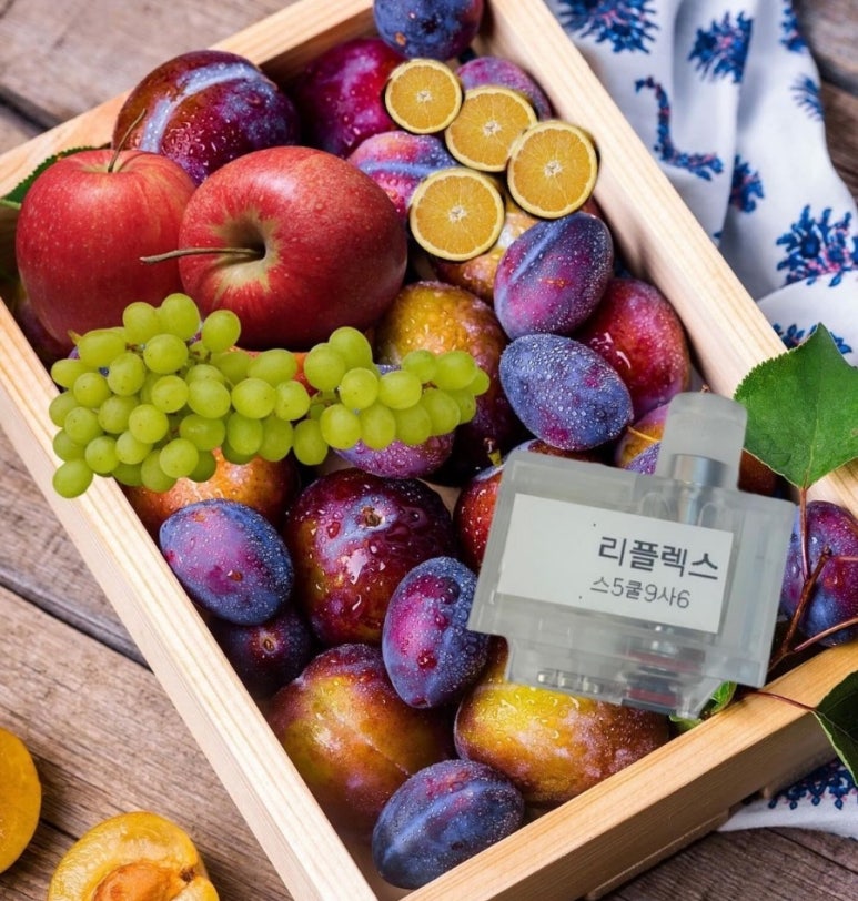 베이피움 이미지