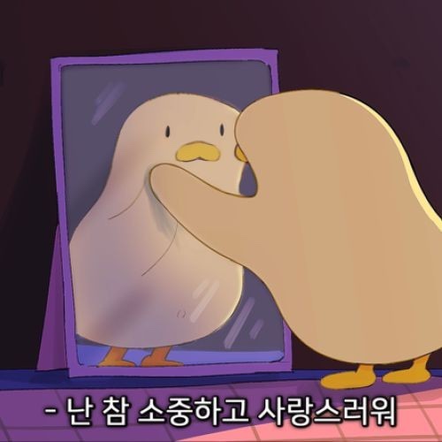 인생세차 이미지