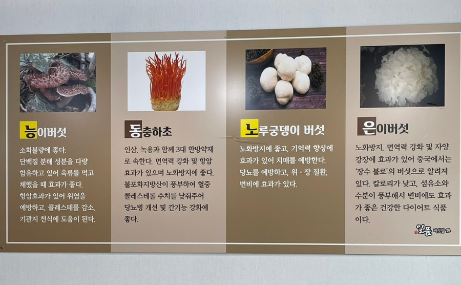 일산일품버섯집 이미지