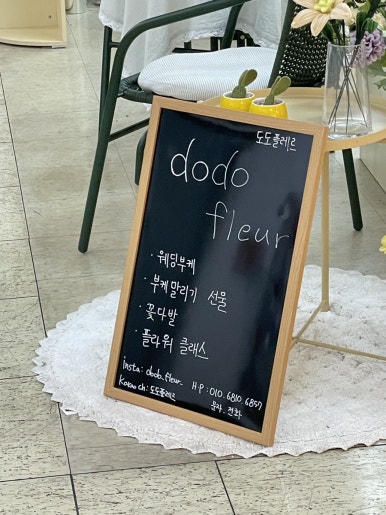 도도플레르 이미지