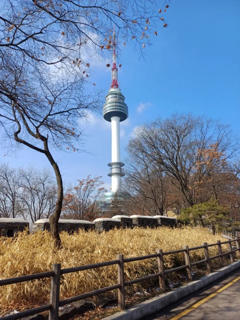 제주면장남산서울 이미지