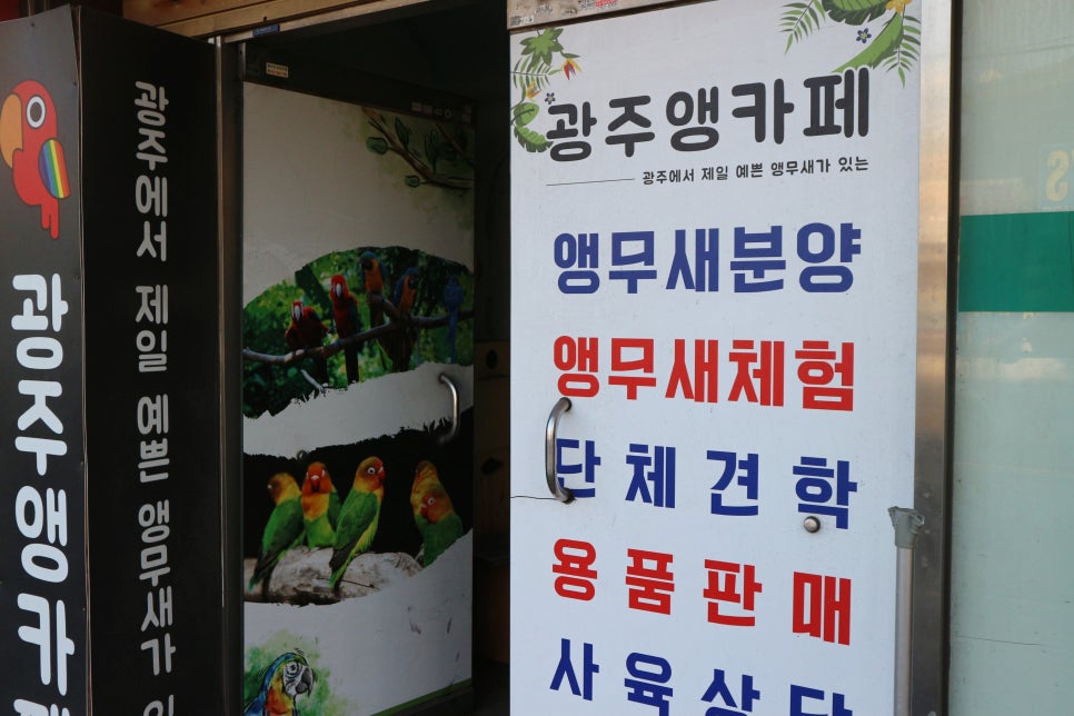 광주앵카페 이미지