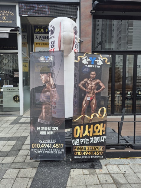 와이바디짐 이미지