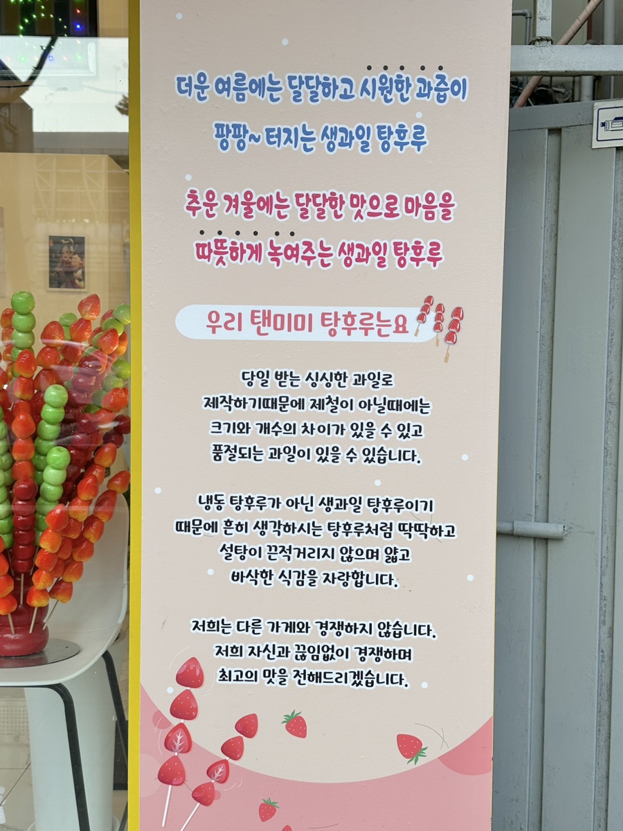 탠미미탕후루 이미지