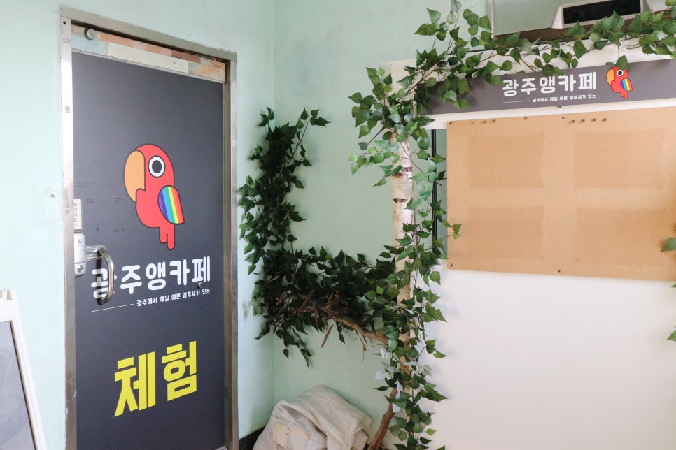 광주앵카페 이미지