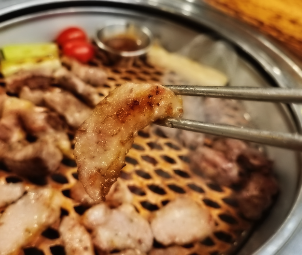 감성돼지 이미지