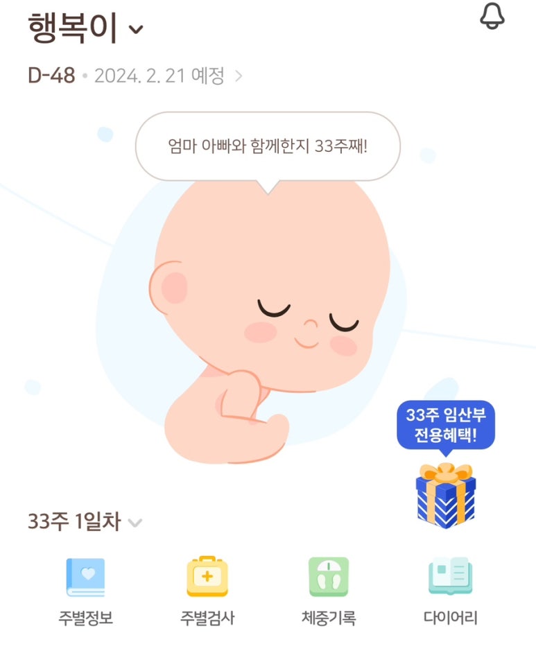 케이크홀릭 이미지