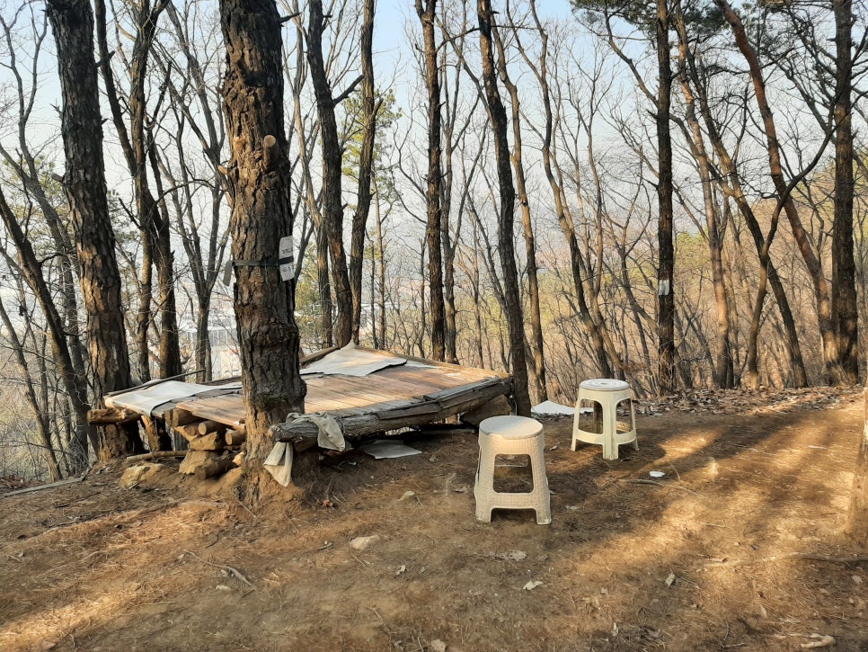 한숲시티 방향 이미지