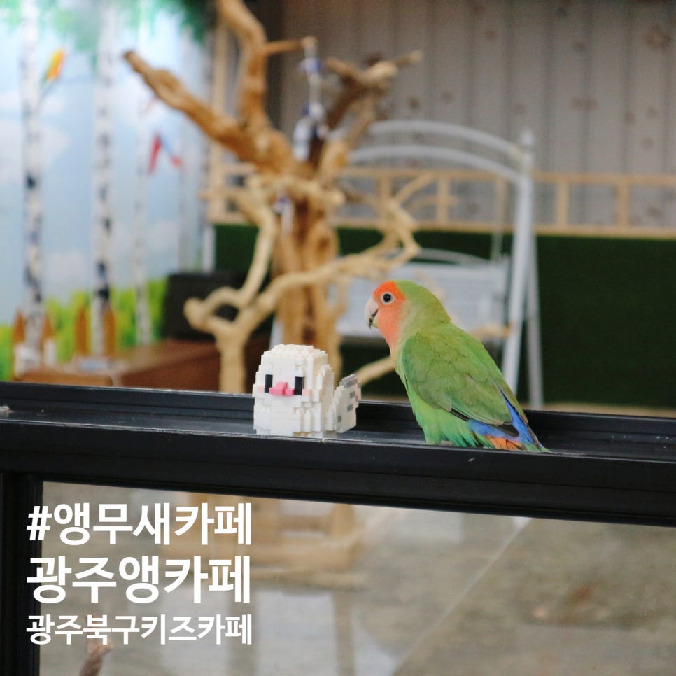광주앵카페 이미지
