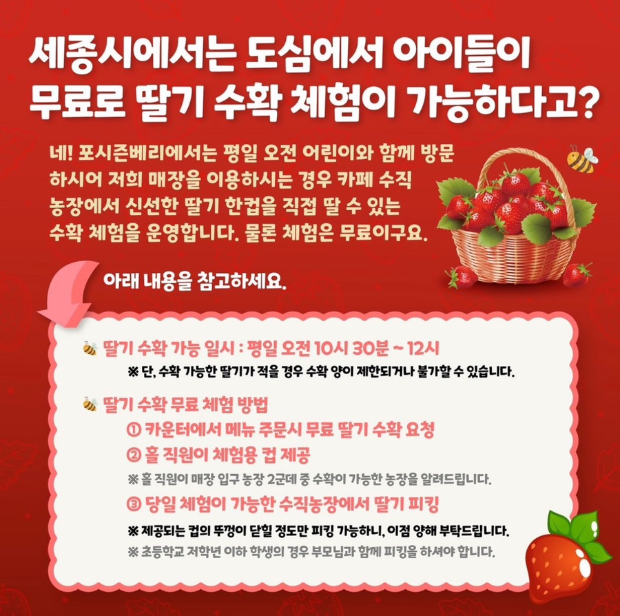 딸기카페 이미지