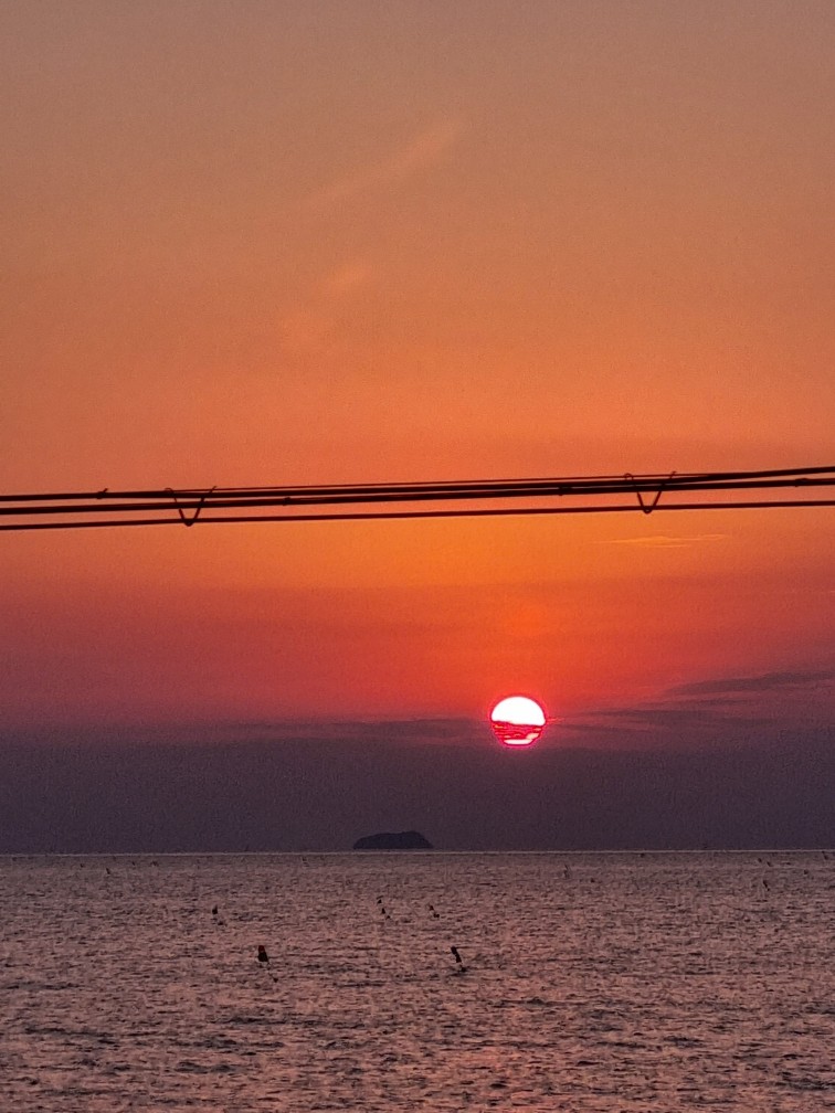 군산세꼬시 이미지