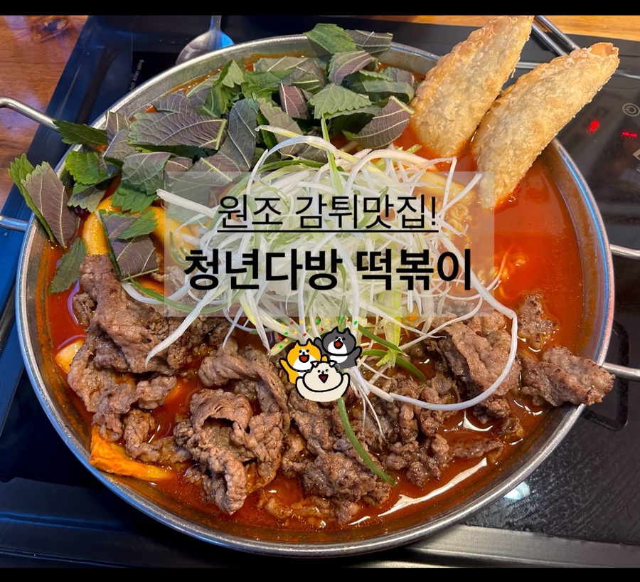 청년다방속초점 이미지
