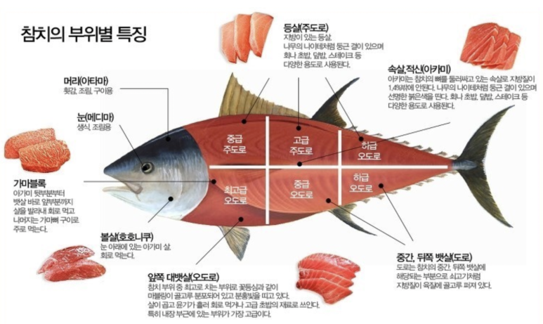 오도로초밥&참치 이미지