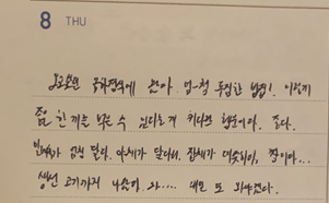 금하정식 이미지