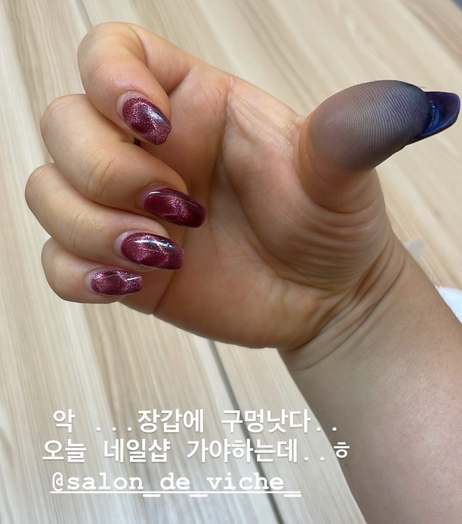 살롱드비체 이미지