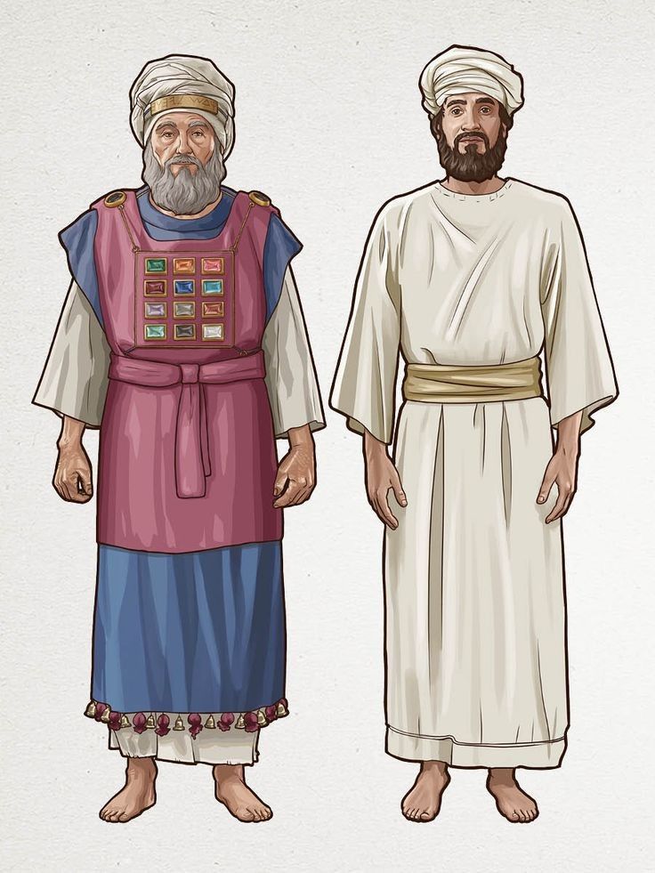 청색자색 이미지