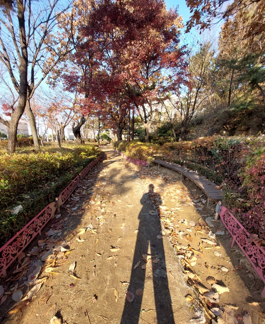 이동수푸드 이미지