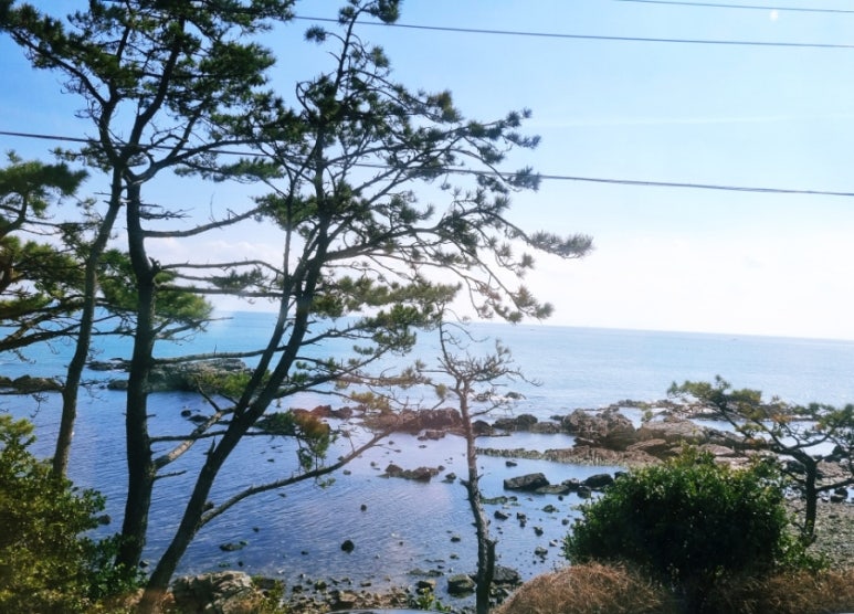 일광식당 이미지