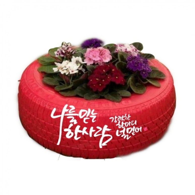 드럼포유 이미지