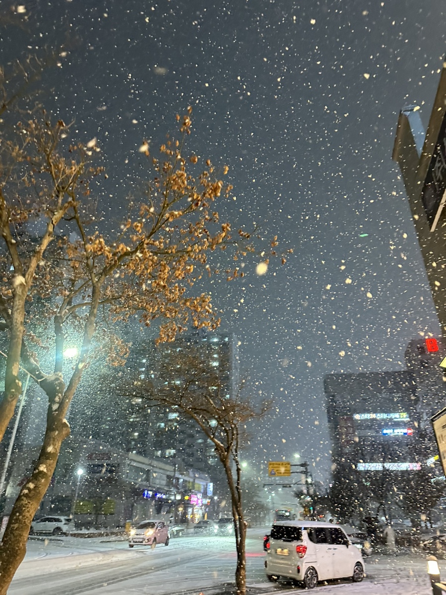 세창라이팅 이미지