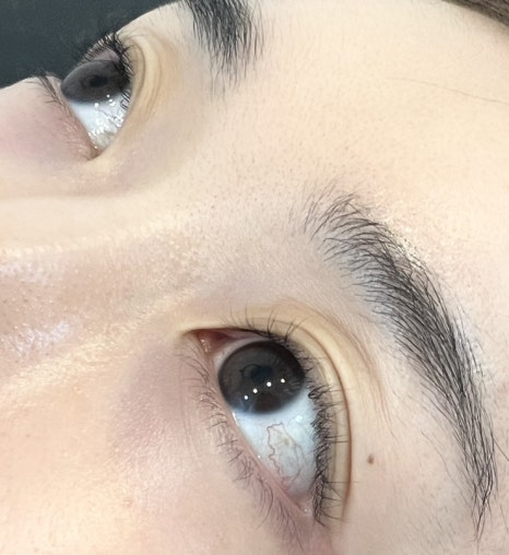 라벨르브로우 이미지