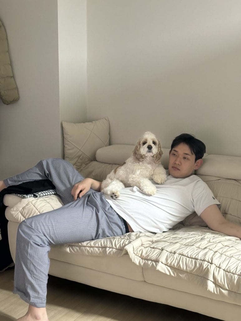 디케이워시군산 이미지