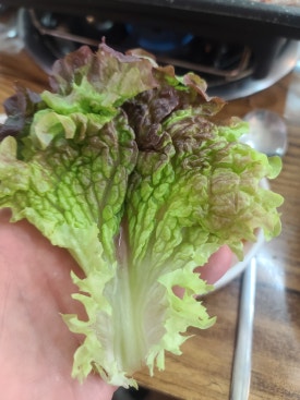 진주밀면 이미지